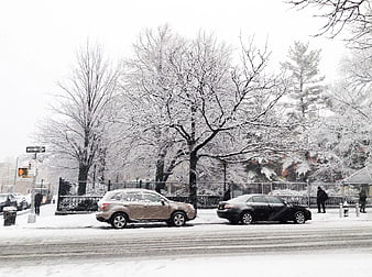 Snowy Brooklyn Street with Parked Cars and Trees