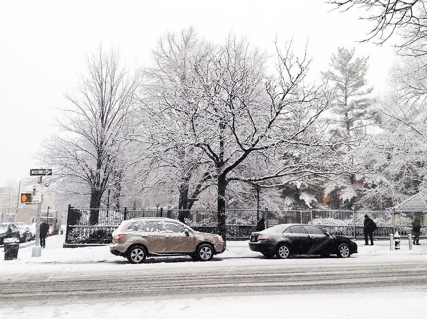 Snowy Brooklyn Street with Parked Cars and Trees