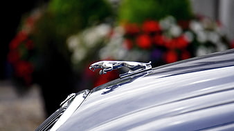 Close-up of Jaguar Car Hood Ornament on Blue Vehicle
