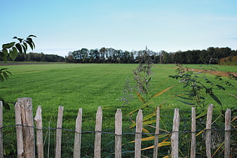 Rustic wooden fence bordering a lush green meadow