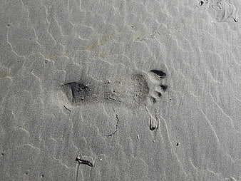 Bare footprints in wet sand on a beach