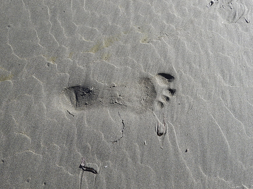 Bare footprints in wet sand on a beach