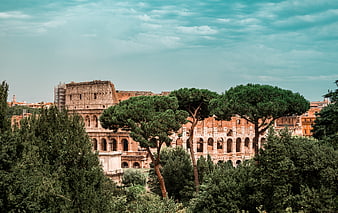 Colosseum in Rome seen through Italian Stone Pines