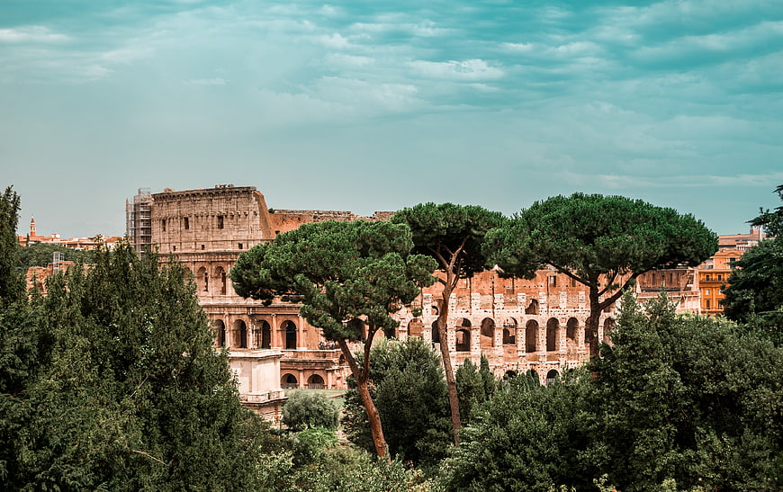 Colosseum in Rome seen through Italian Stone Pines
