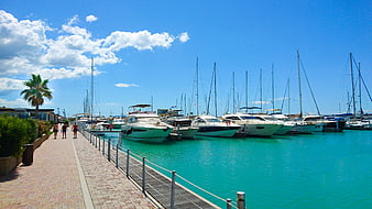 Sunny Marina with Sailboats and Turquoise Water
