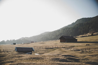 Rustic wooden barns in a sunny alpine meadow landscape