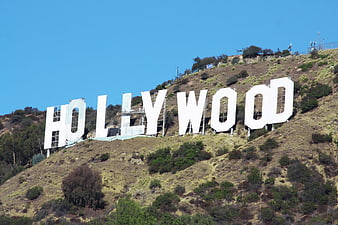 Hollywood Sign on Grassy Hillside Under Clear Blue Sky