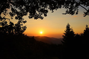 Golden Sunset Over Silhouetted Mountain Forest Landscape