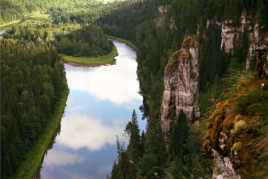 Aerial View of Winding River Through Forested Canyon