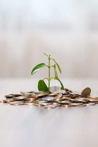 Green plant sprout growing from pile of coins