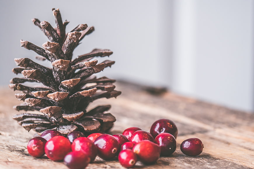Rustic Pine Cone and Cranberries on Wooden Surface