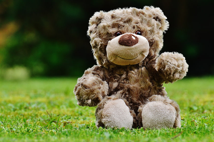 Cute brown teddy bear sitting on green grass