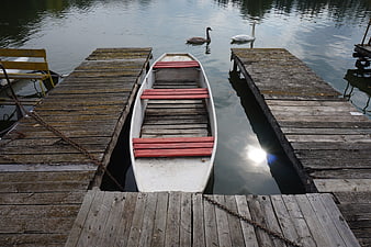 White rowboat docked between wooden piers with swans