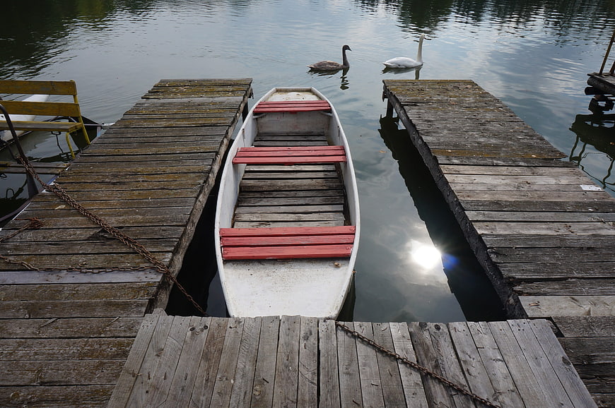 White rowboat docked between wooden piers with swans