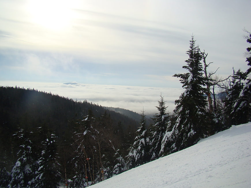 Snowy mountain landscape with sea of clouds and evergreen forest