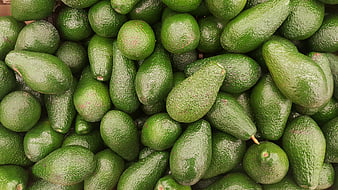 Fresh Green Avocados Piled Together in Market Display