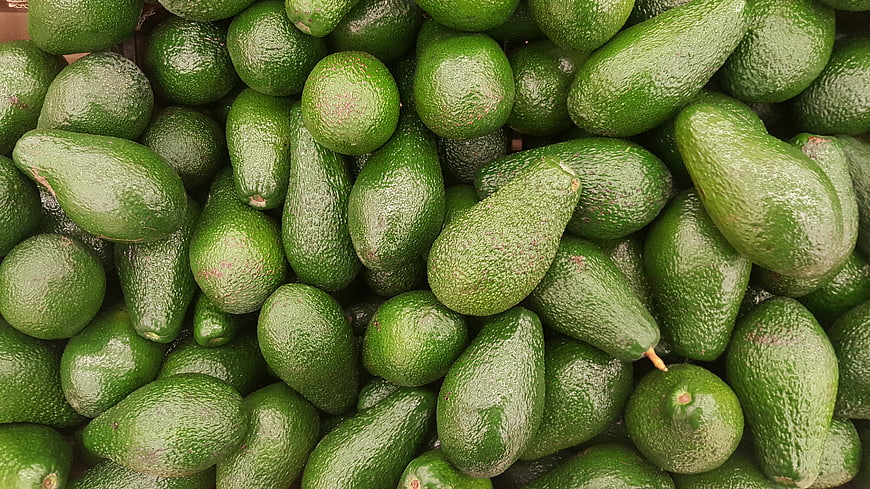 Fresh Green Avocados Piled Together in Market Display