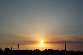 Silhouette of trees and power lines against a warm sunset sky