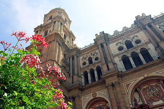 Málaga Cathedral with Red Flowers in Foreground