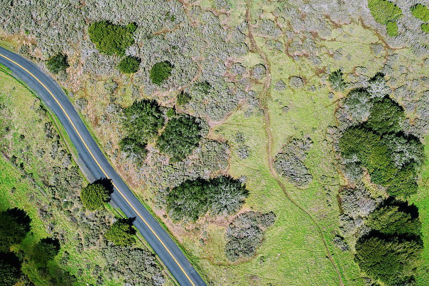 Aerial View of Winding Road Through Green Countryside