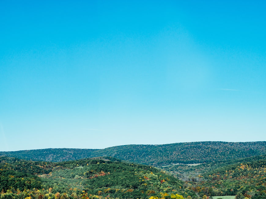 Rolling Hills Forest Landscape with Blue Sky in Autumn