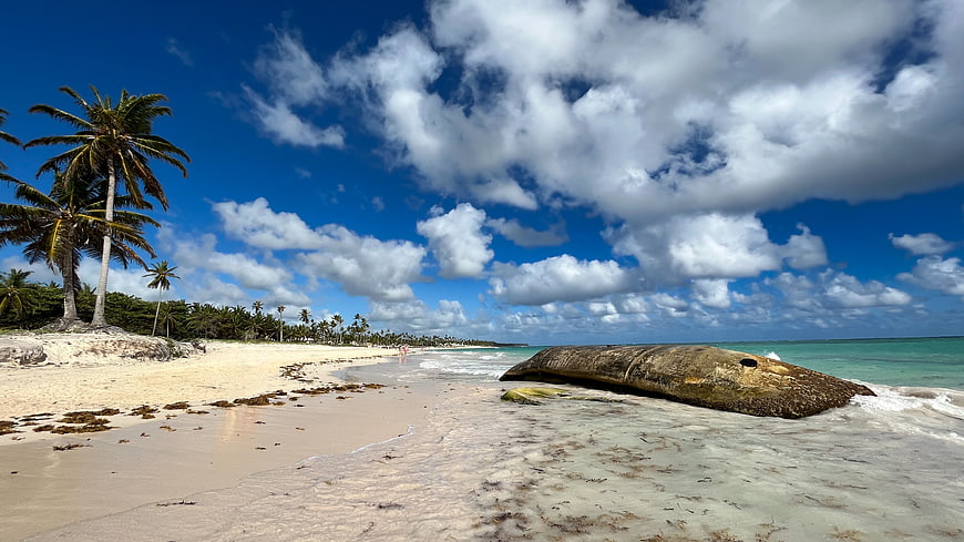 Tropical Beach with Palm Trees and Large Rock in Ocean