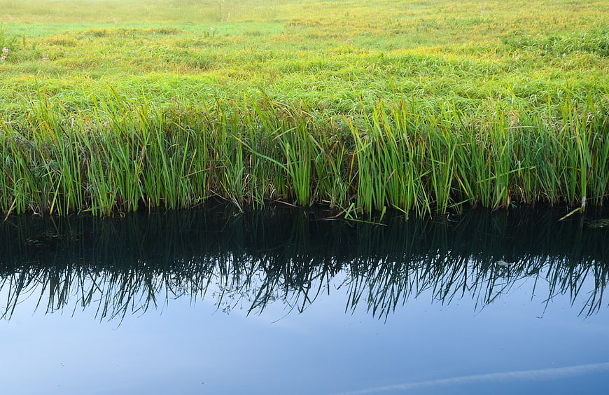 Green grassy bank reflecting in calm blue water