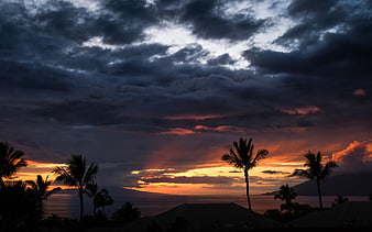Dramatic sunset over ocean with palm tree silhouettes