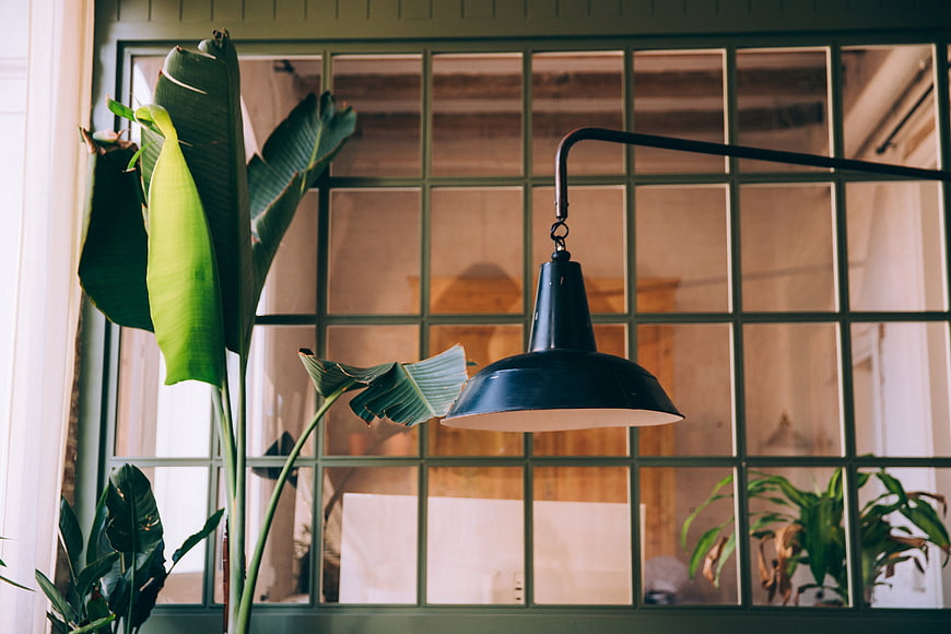 Industrial pendant lamp and tropical plants in modern interior