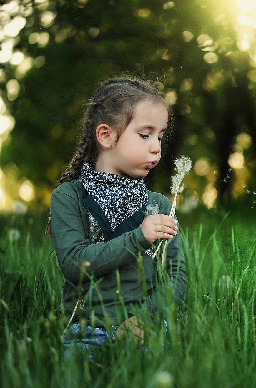 Little girl blowing dandelion seeds in a sunny meadow