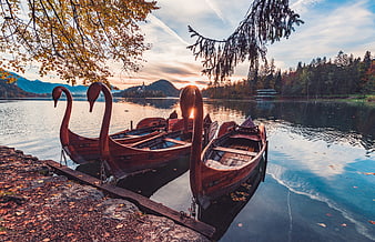 Wooden swan boats docked at Lake Bled in autumn sunset
