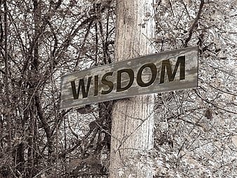Wooden Wisdom Sign in Sepia Forest