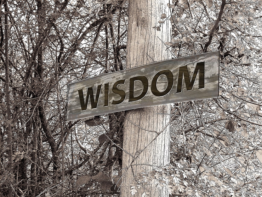 Wooden Wisdom Sign in Sepia Forest