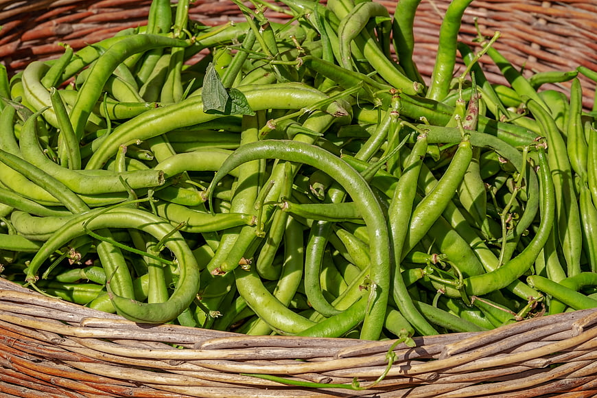 Fresh Green Bush Beans In Woven Wicker Basket