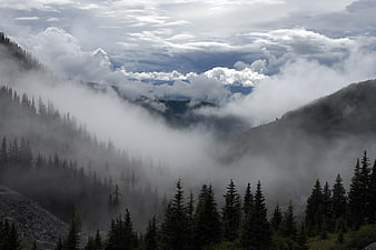 Misty Mountain Valley with Pine Forest and Clouds