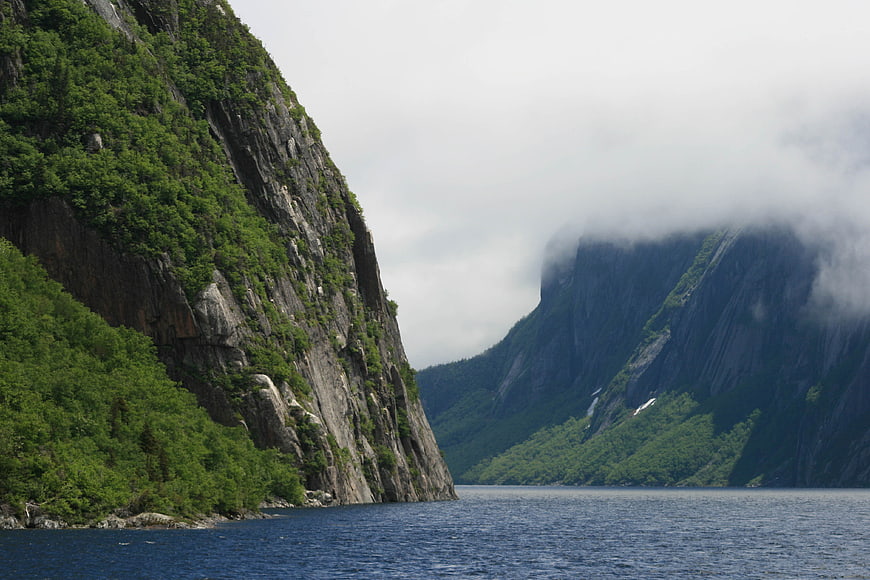 Misty Fjord Landscape with Steep Rocky Cliffs and Green Vegetation