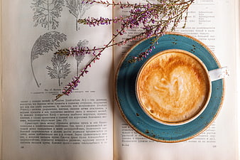 Top view of cappuccino on vintage book with flowers