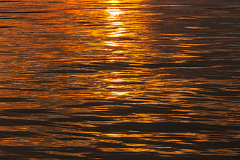 Golden Sunlight Reflection on Rippling Water Surface