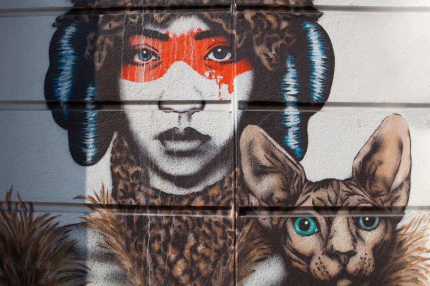 Street Art Mural of Woman and Cat on White Wall