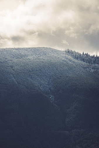 Snow-Covered Mountain Forest Under Dramatic Cloudy Sky