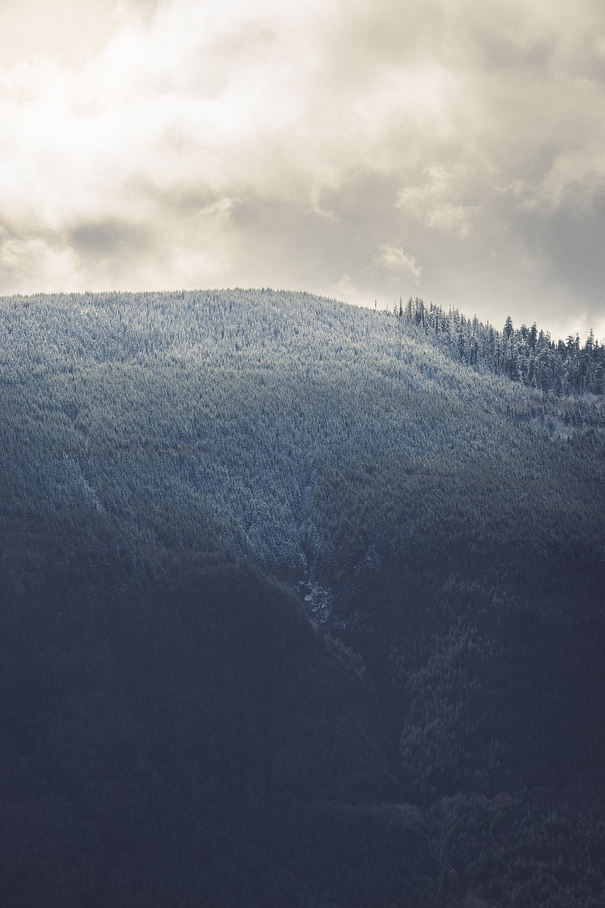 Snow-Covered Mountain Forest Under Dramatic Cloudy Sky