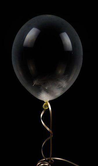 Black Balloon With White Feather And Gold Ribbon On Black Background