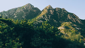 Scenic Rocky Mountain Peaks with Pine Forest