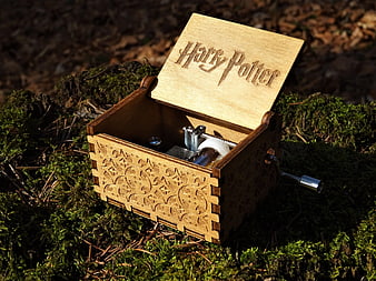 Laser-Cut Wooden Music Box with Harry Potter Logo on Mossy Tree Stump