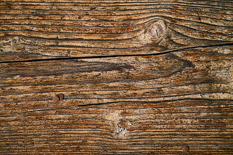Weathered Wood Planks Texture with Rusty Nails