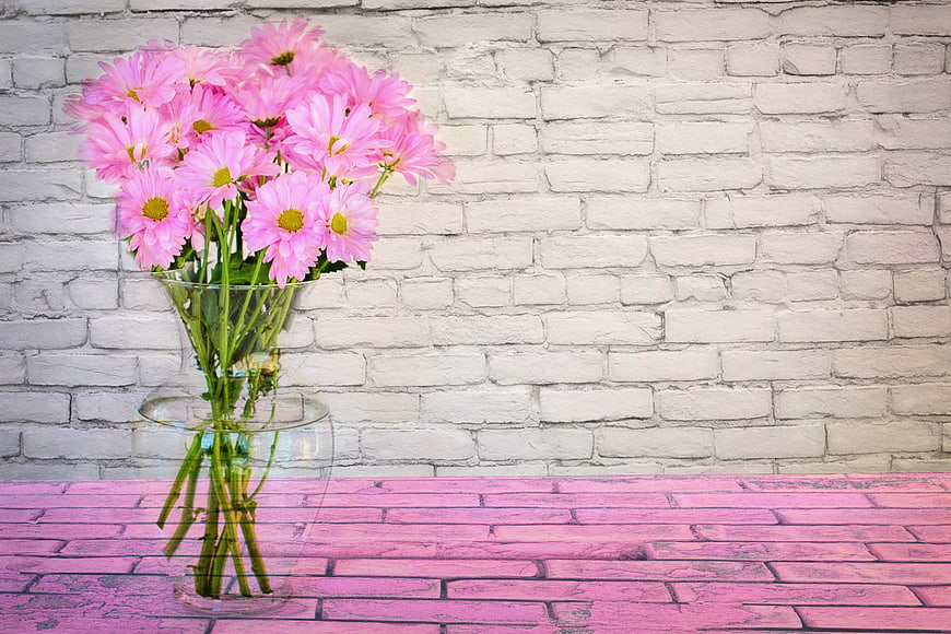Pink Daisies in Glass Vase on Pink Wooden Table