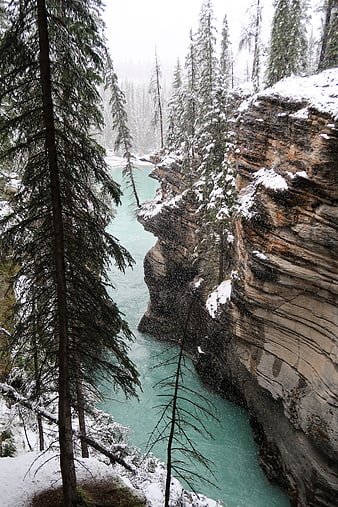 Snowy Canyon with Turquoise River and Pine Trees