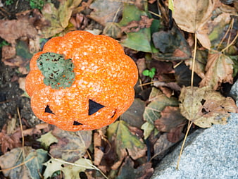 Orange Glitter Pumpkin Decoration on Autumn Leaves