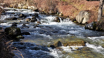 Fast-flowing mountain river with rocks and autumn foliage