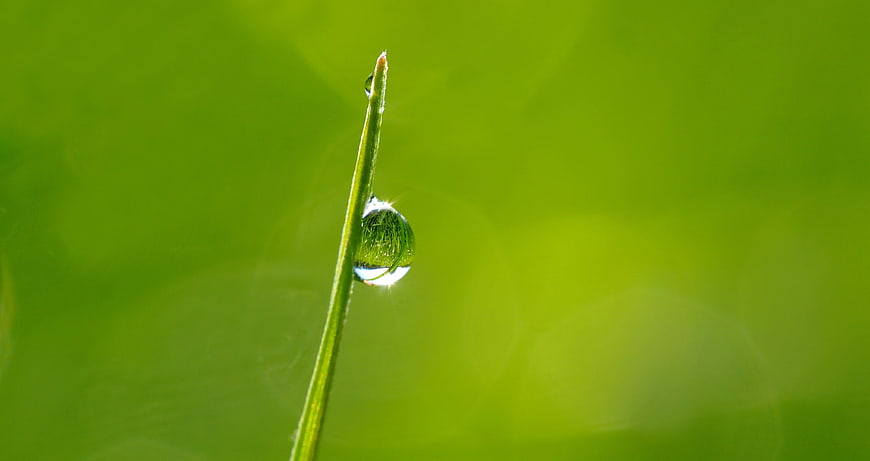 Macro shot of dewdrop on green grass blade
